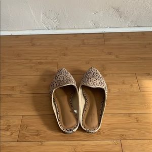 Universal Thread Leopard Flat Mules